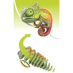 3D palapeli chameleon features