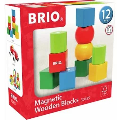 Brio Magneettipalikat 10 kappaletta 30435