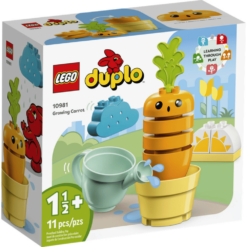 LEGO 10981 Duplo box