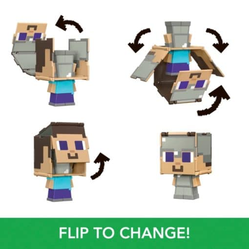 Minecraft-flippin-fig-Steve