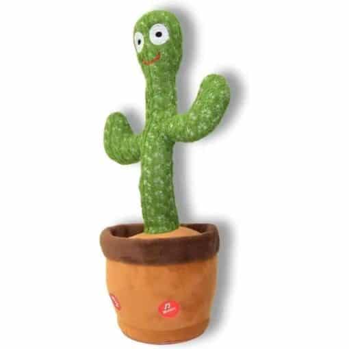 Kaktus tanssiva1