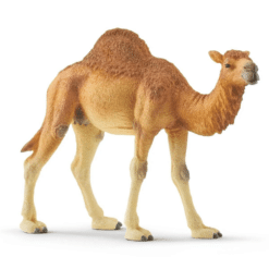 schleich camel side