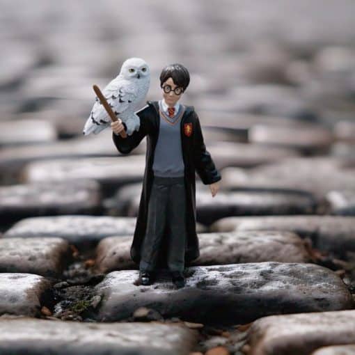 Harry Potter ja Hedwig