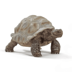 schleich tortoise